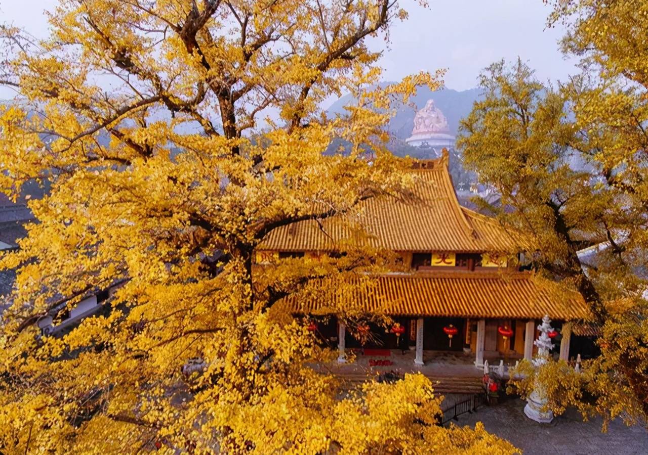 不仅有一尊弥勒大佛,秋景也是独具一格的,雪窦寺
