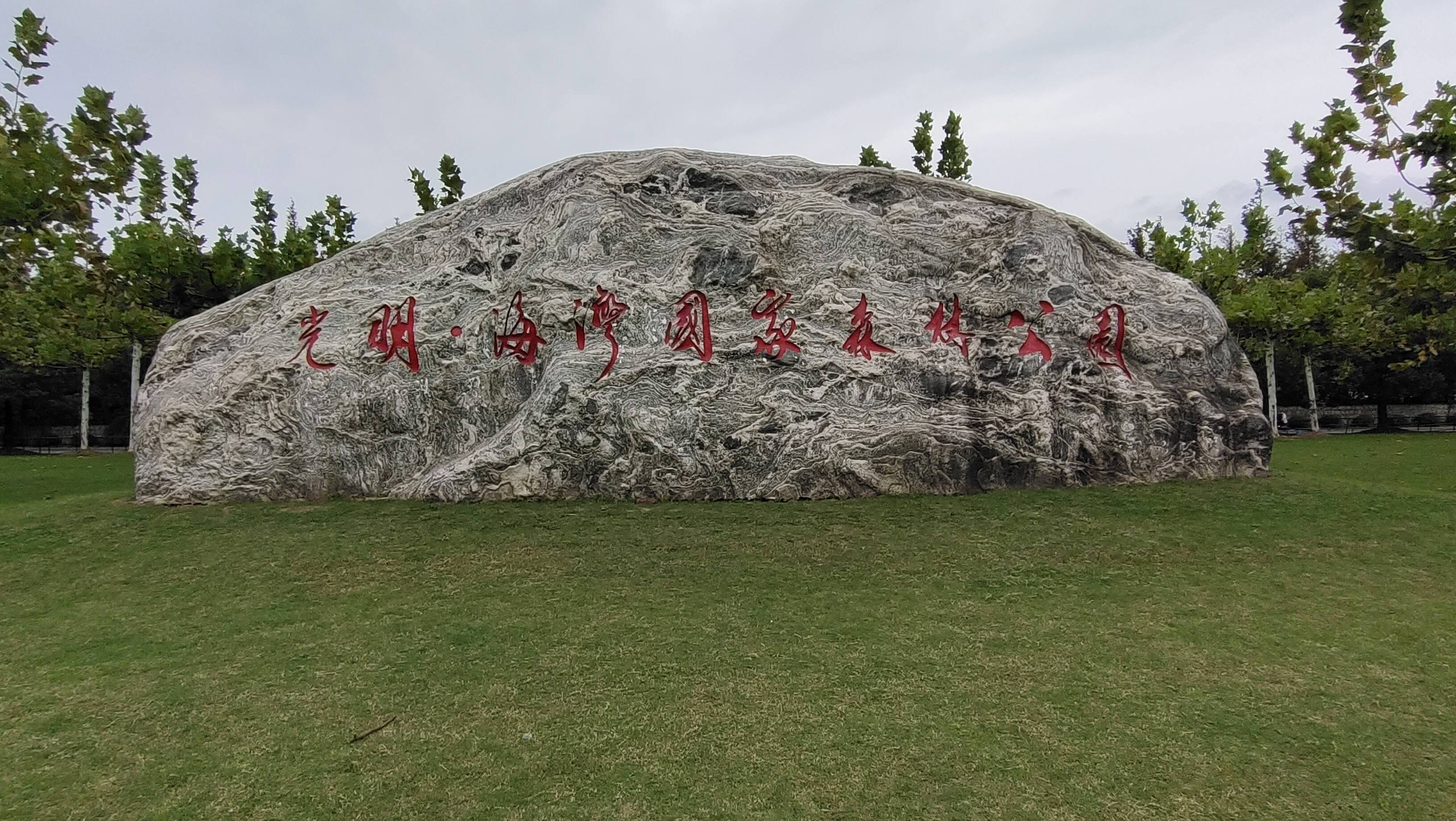 东海海岸线上的景观光明海湾国家森林公园上海远郊美景