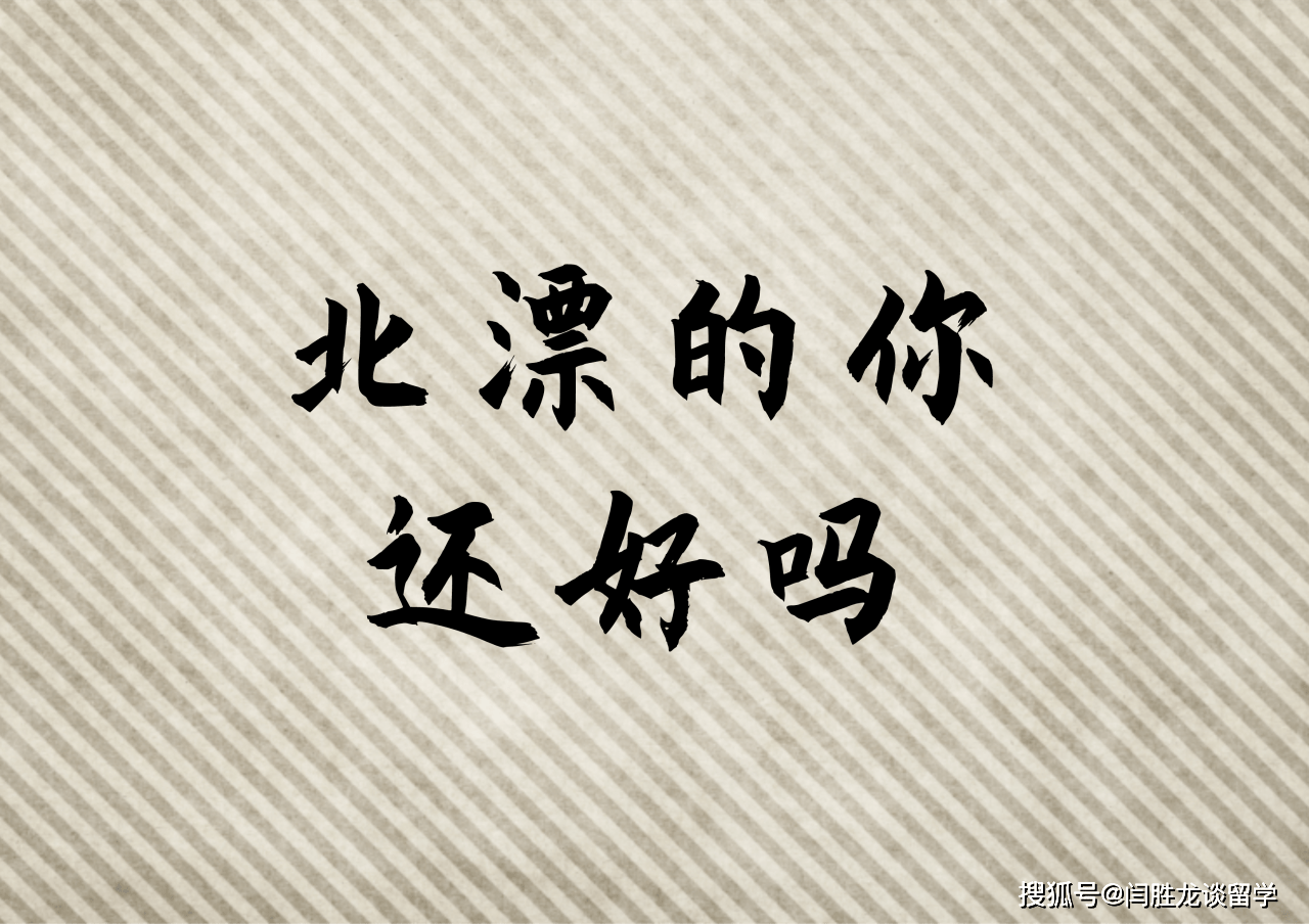 北漂一族纪录片影评