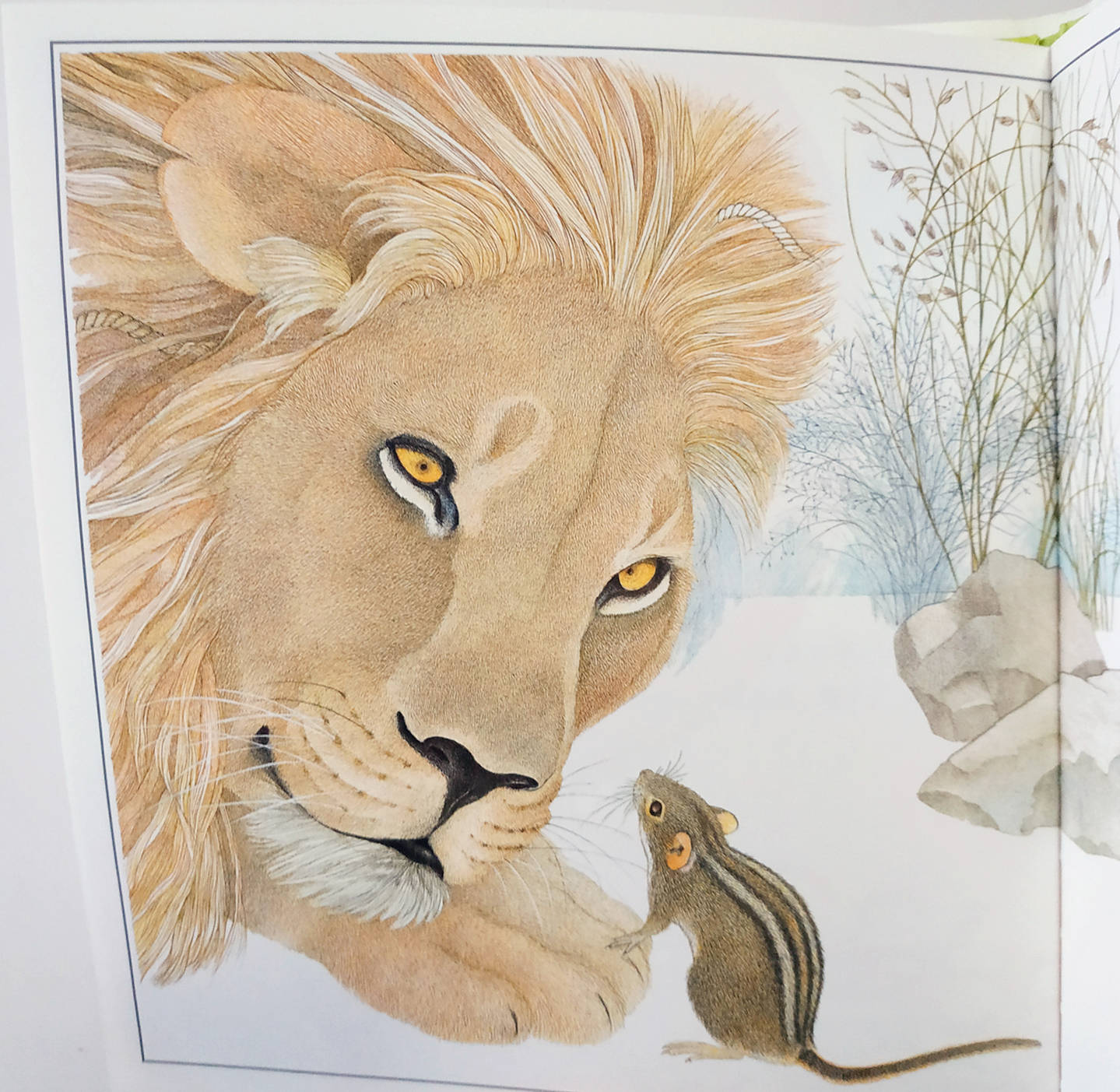 作者南希 ·埃克霍尔姆 · 伯克特曾荣获凯迪克奖银奖,她为这个故事