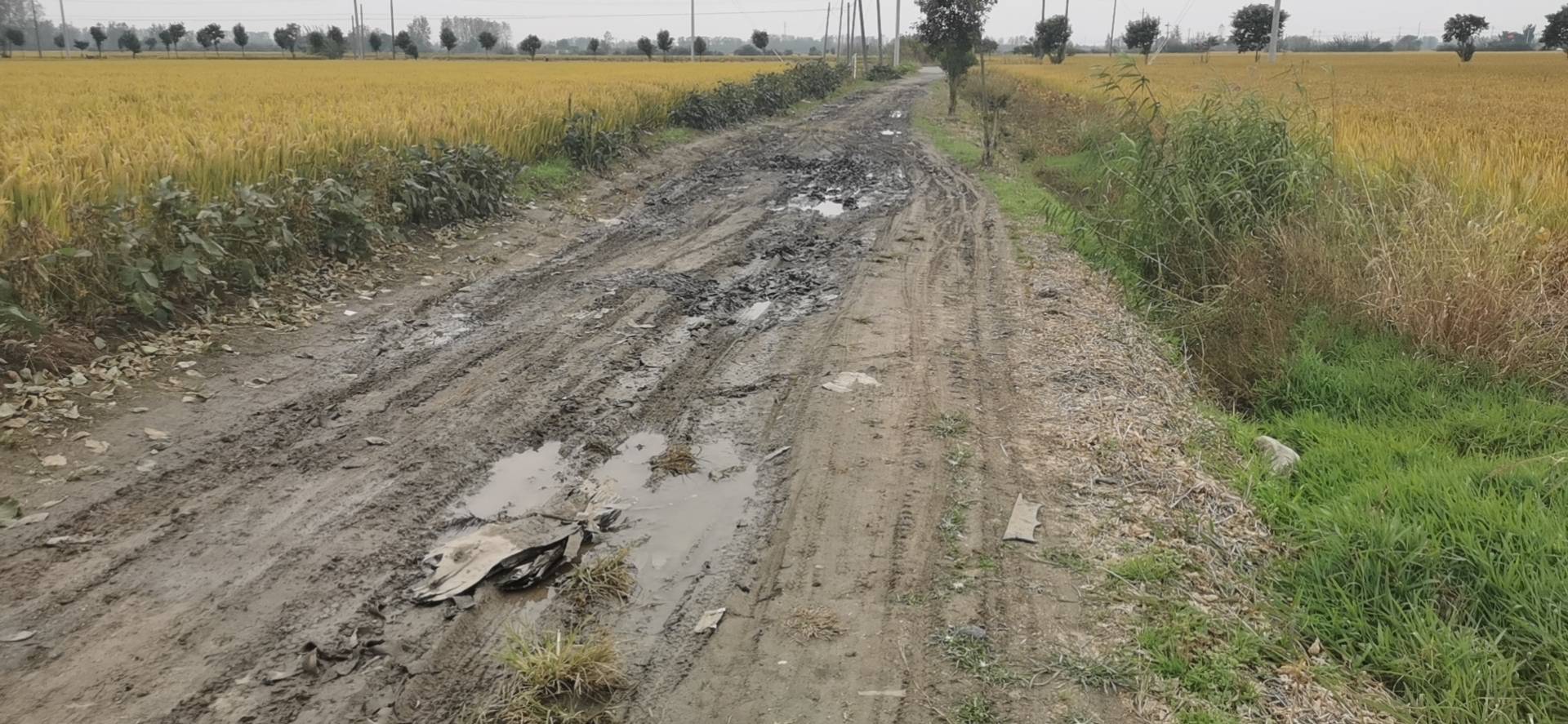 骑一段坑洼,泥泞路面,发挥一下山地车的优势