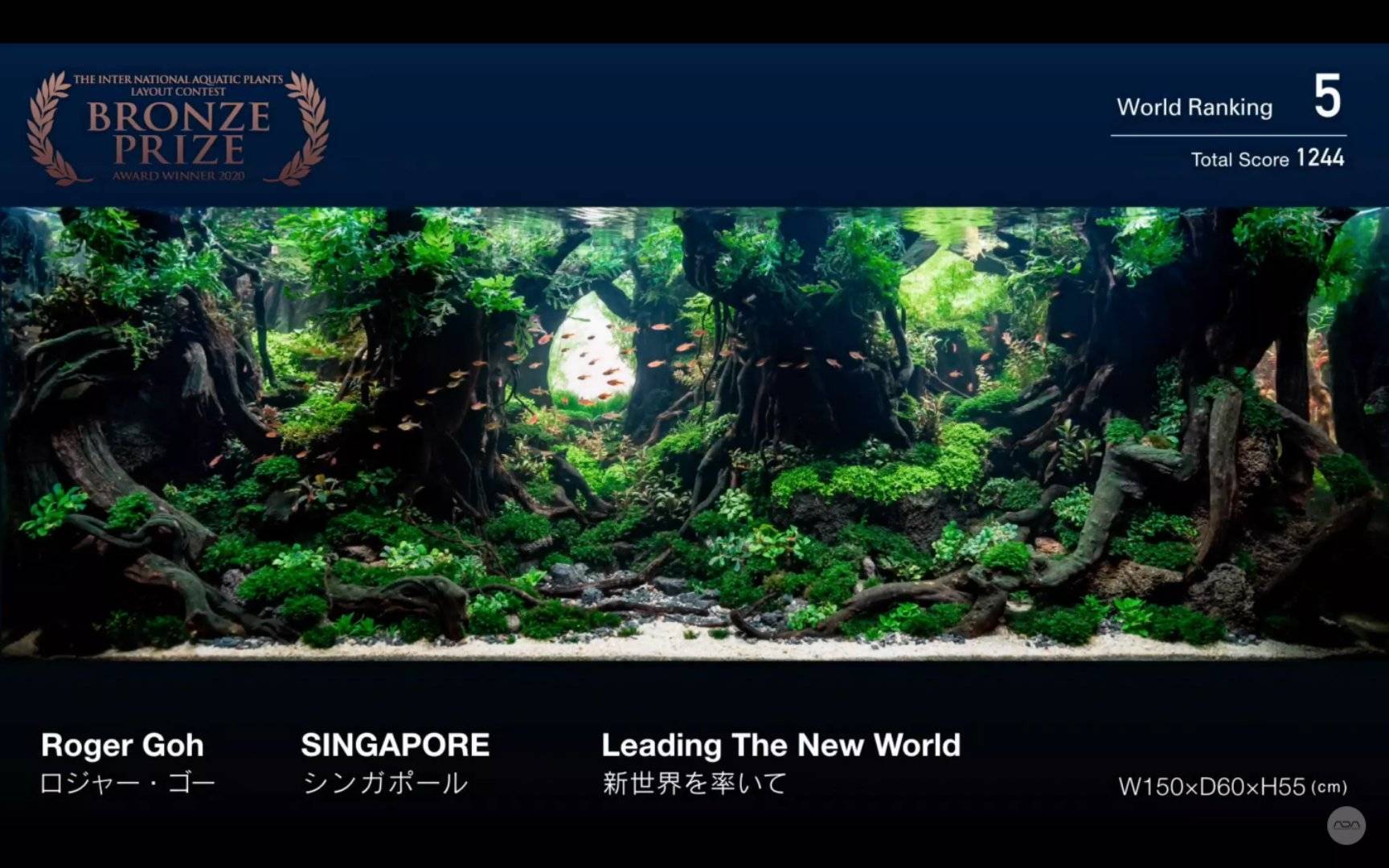 ada iaplc 2020水草造景比赛top27