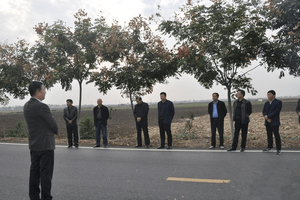 新野县人大常委会开展视察农村公路建设养护情况暨代表建议重点督办