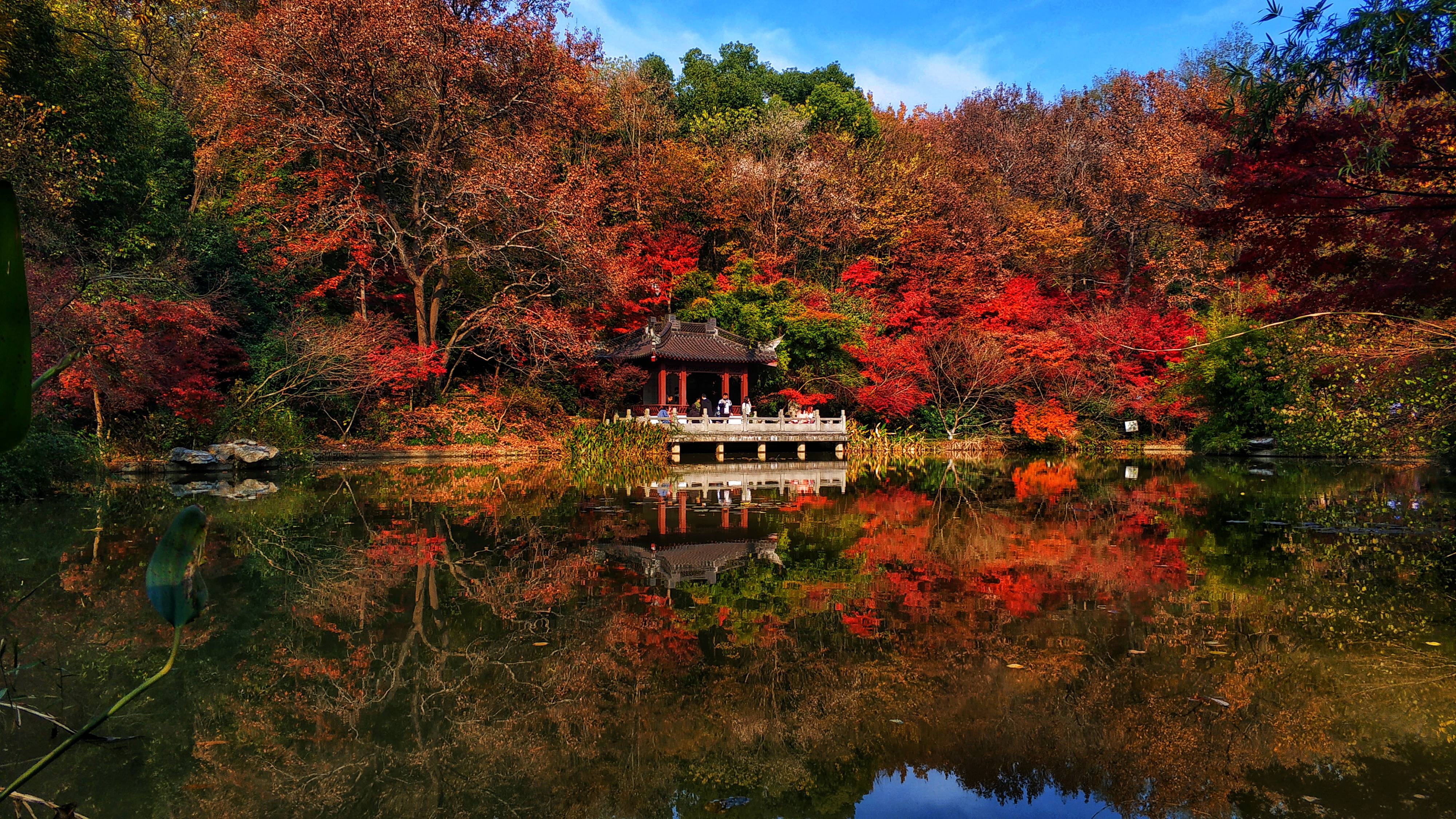 不去日本就不能看红叶了?从北到南,这么多国产赏秋地等你发现