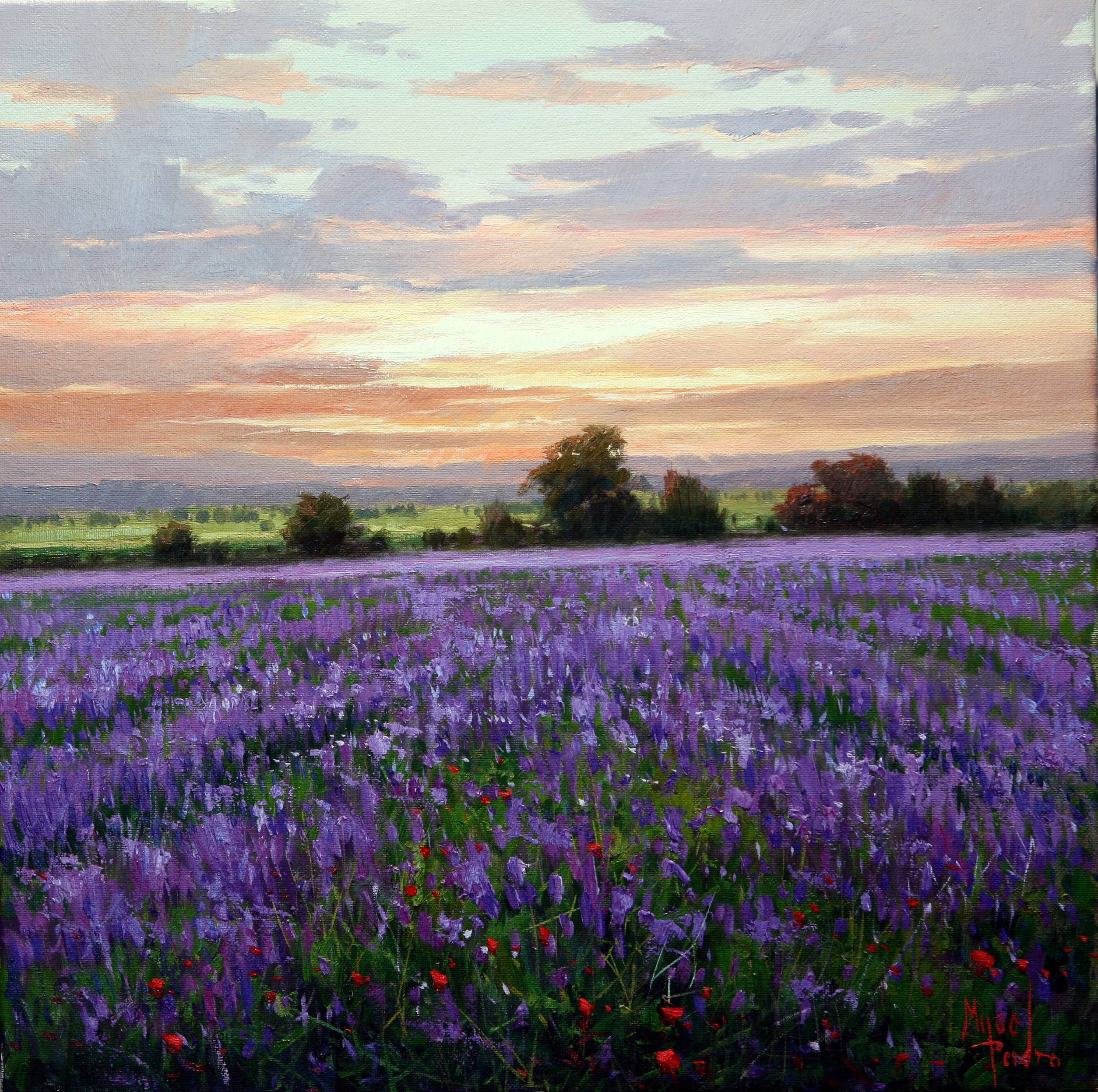 西班牙风景画大师米格尔·佩德罗个人画展 满屏对深秋的爱_手机搜狐网