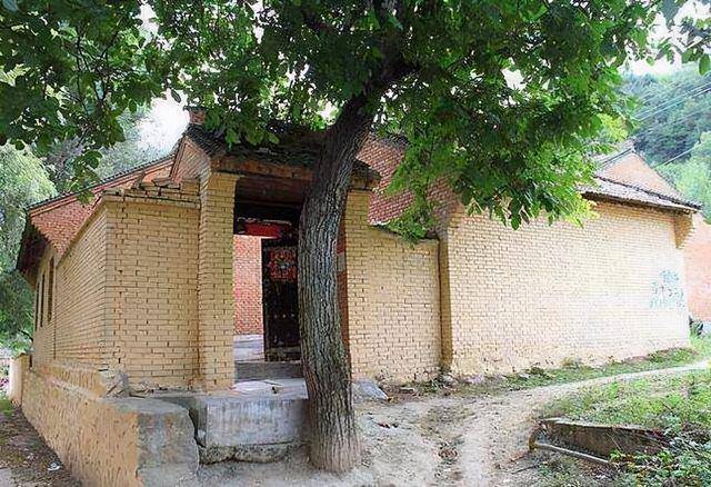 "树夹屋,堂夹房,不败也得亡",到底是啥忌讳?要建房的应留意