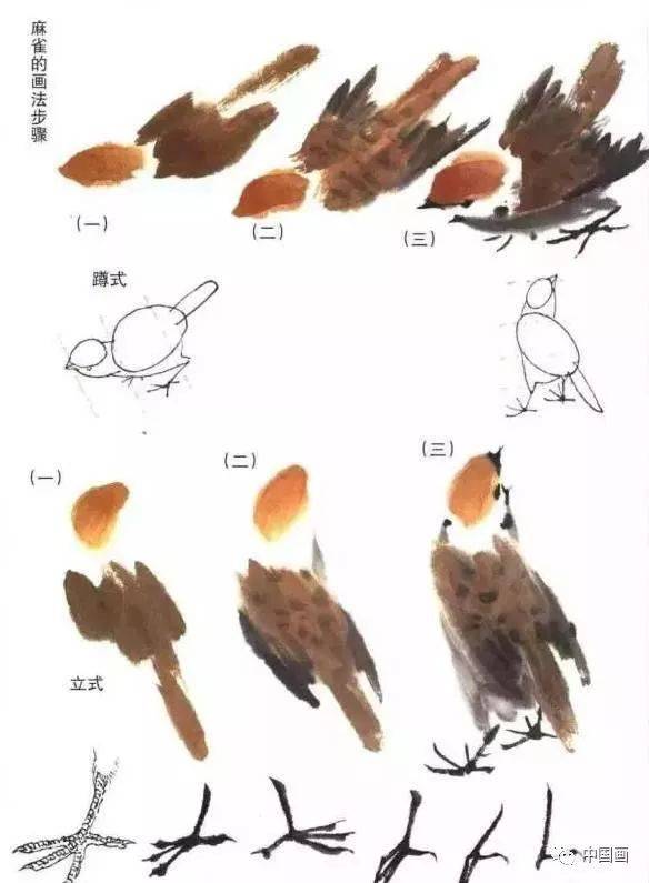 国画技法——麻雀画法详解