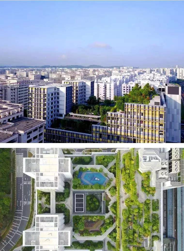 养老视界 | 感受新加坡式养老,这个老年社区究竟有何神奇?