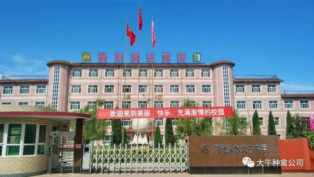 那些常年在鸡场里干活的大午人到底过得怎么样