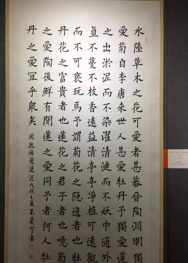 原創小學生學霸毛筆書法獲獎作品,有國展範,網友:後繼有人