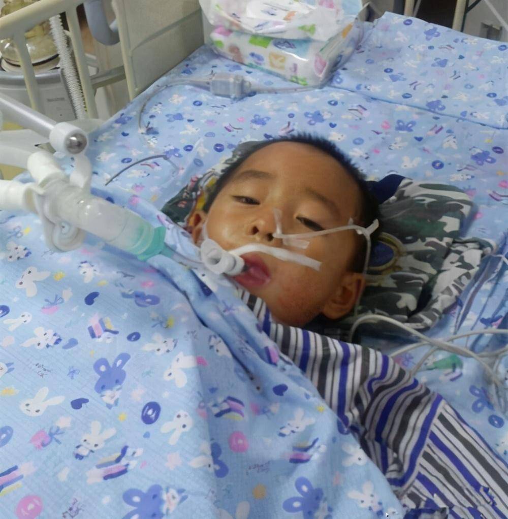 11岁男孩确诊胃癌晚期,得知原因,妈妈崩溃大哭:是妈妈害了你!_小浩