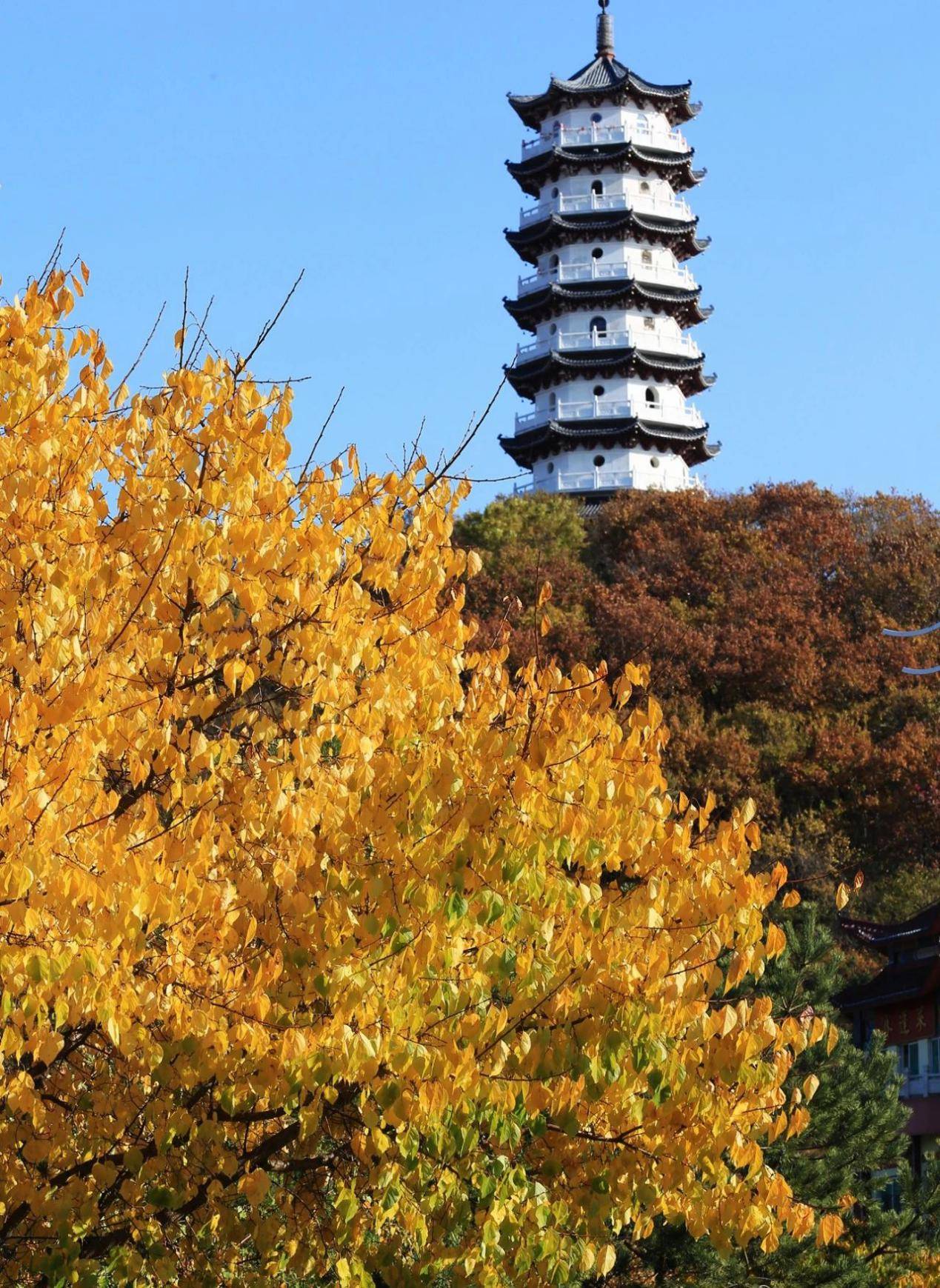 九台秋日太好逛了!哪里都是盛世美颜!