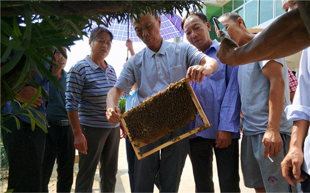 原创赣县长洛乡三要蜜诀助推蜂蜜产业提档升级