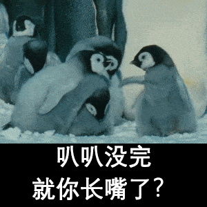 企鹅童学,你拿我当什么?_南极