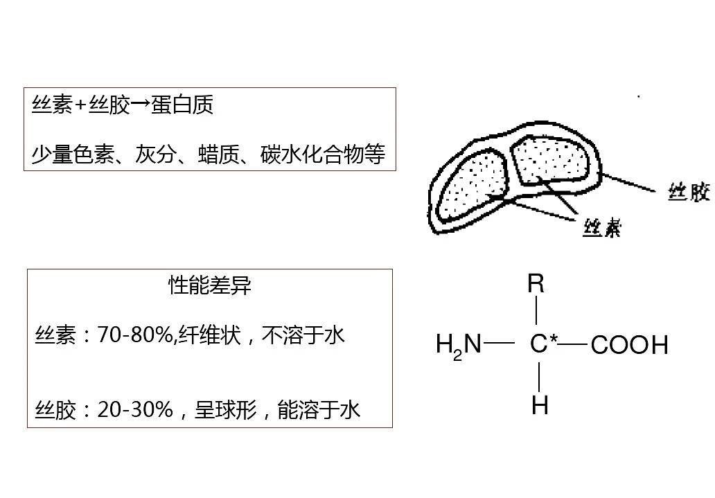 从蚕丝认识蚕丝无纺布_相关研究