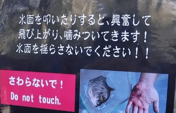 日本最危险的动物园入园要签生死状可以近距离接触动物