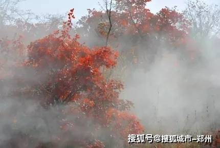 云雾缭绕,彩林朦胧雾中红叶总有一款适合你哦!小编已经给你"配齐"了!