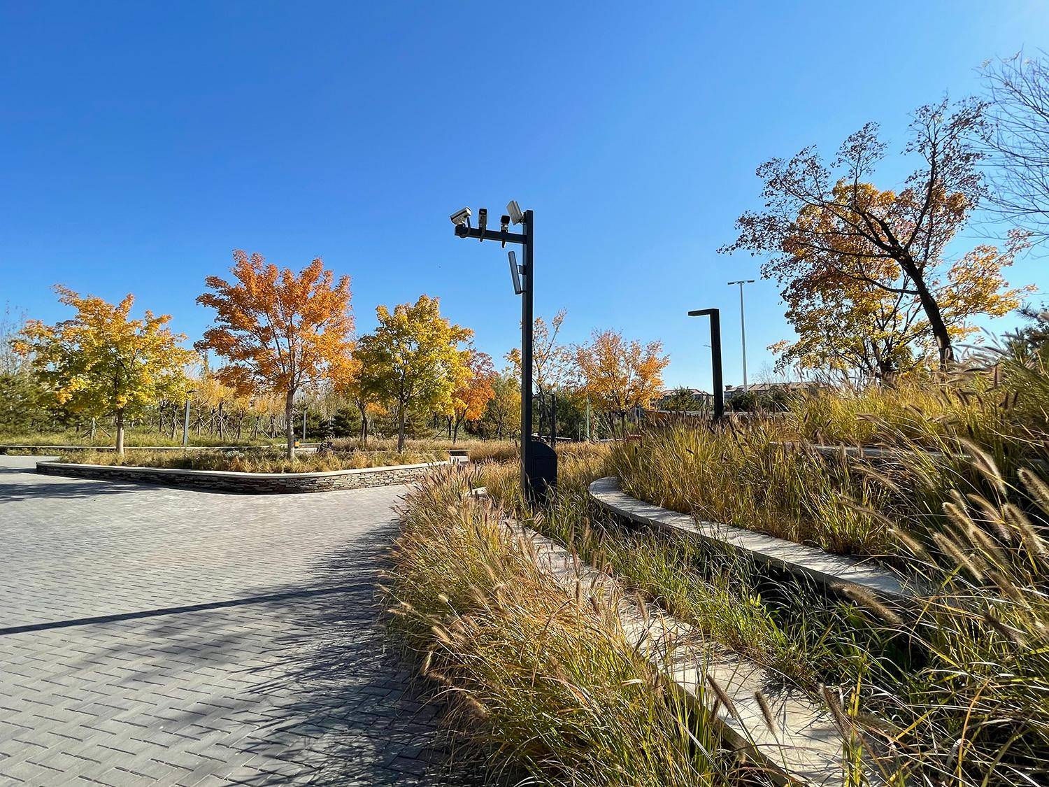 iphone 12拍照效果如何?很不错,但也有局限_苹果