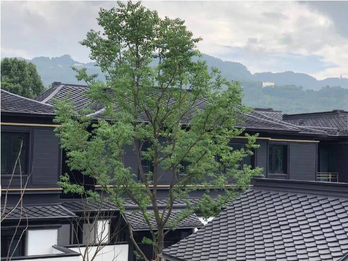 长乐雅颂融创再造宋式别墅宋代生活现代顶级演绎