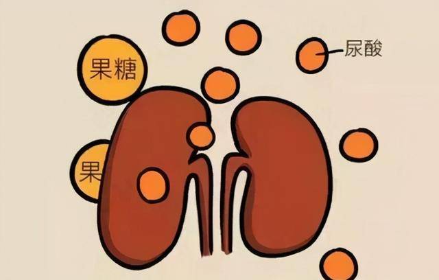 肌酐高怎么办?4个有效方法,挽救肾功能!