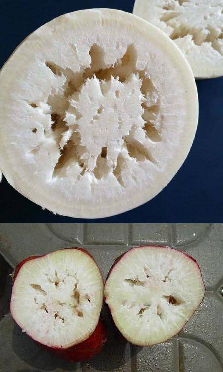 买萝卜时,碰上这4种,切记便宜也别买,可能会是"糠心"萝卜