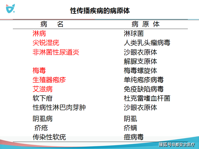 梅毒,非淋菌性尿道炎,尖銳溼疣,沙眼衣原體,軟下疳,生殖器皰疹,滴蟲病