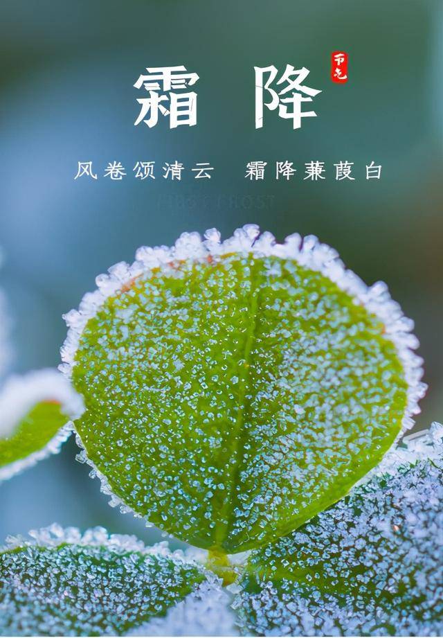 节赋令霜降又是帘卷西风时