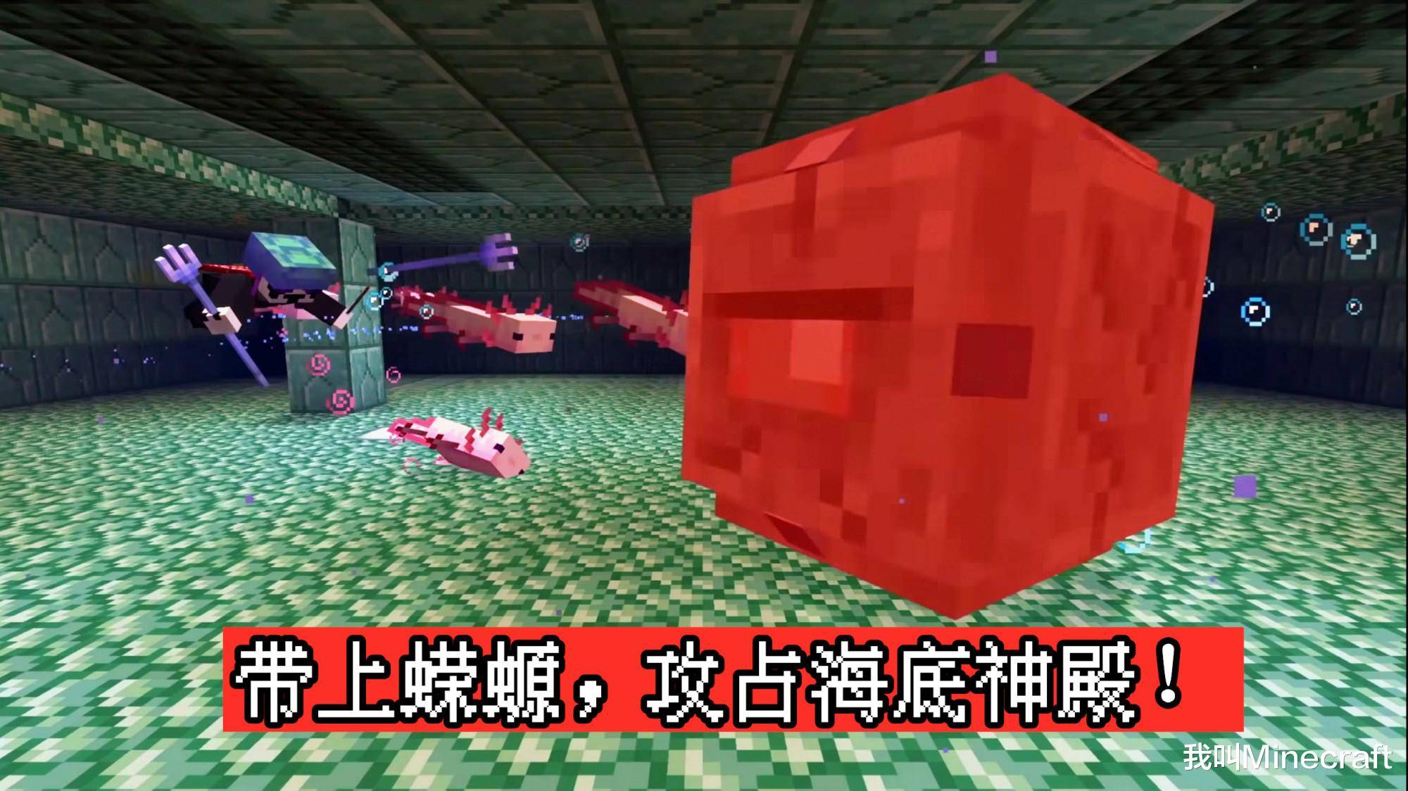 17新生物"蝾螈"的11个秘密,会装死还会回血?_mc