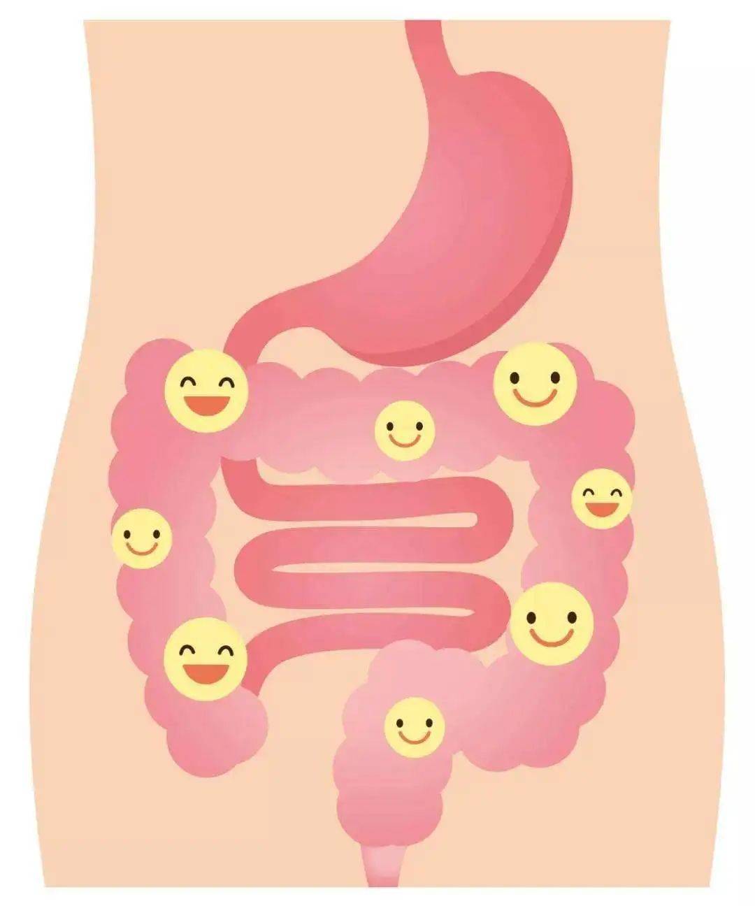 天畅通课堂肠道是第二个大脑自测一下你的肠道健康吗