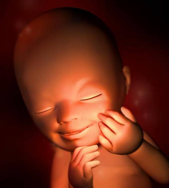 怀孕21周男胎儿图图片