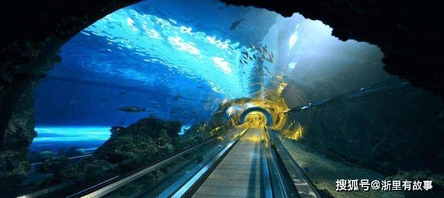 浙江将建世界最长海底高铁隧道,舟山告别无高铁时代,宁波到舟山只需半