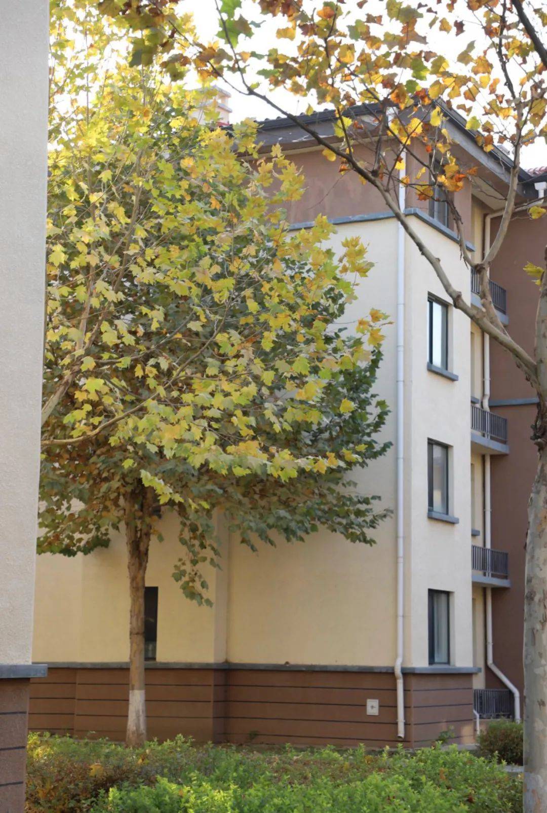 秋景"大片"上线!"镜"走顺义李遂 赴一场晚秋的约会