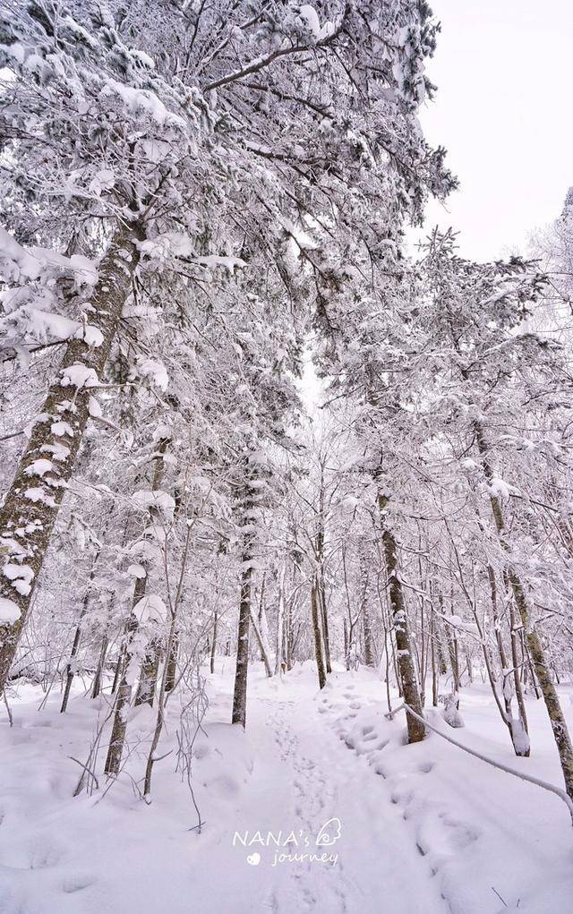 美如仙境的雪之世界,是冬日最值得探访的景点,人还很少