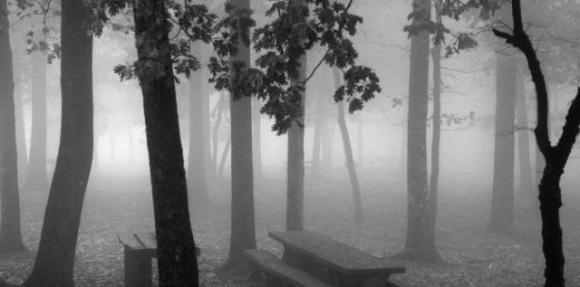 为何人们会在山林突然失踪美国曝光一种叫皮行者的恐怖生物