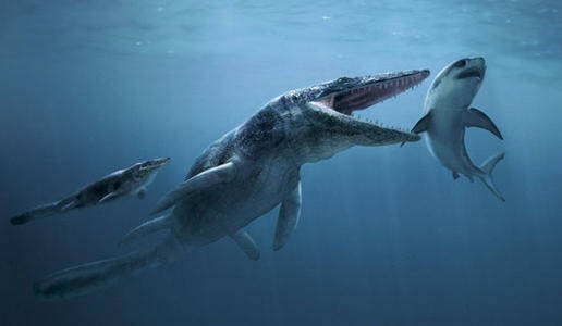 第010章,生命的进化与奋斗之白垩纪灭绝事_恐龙