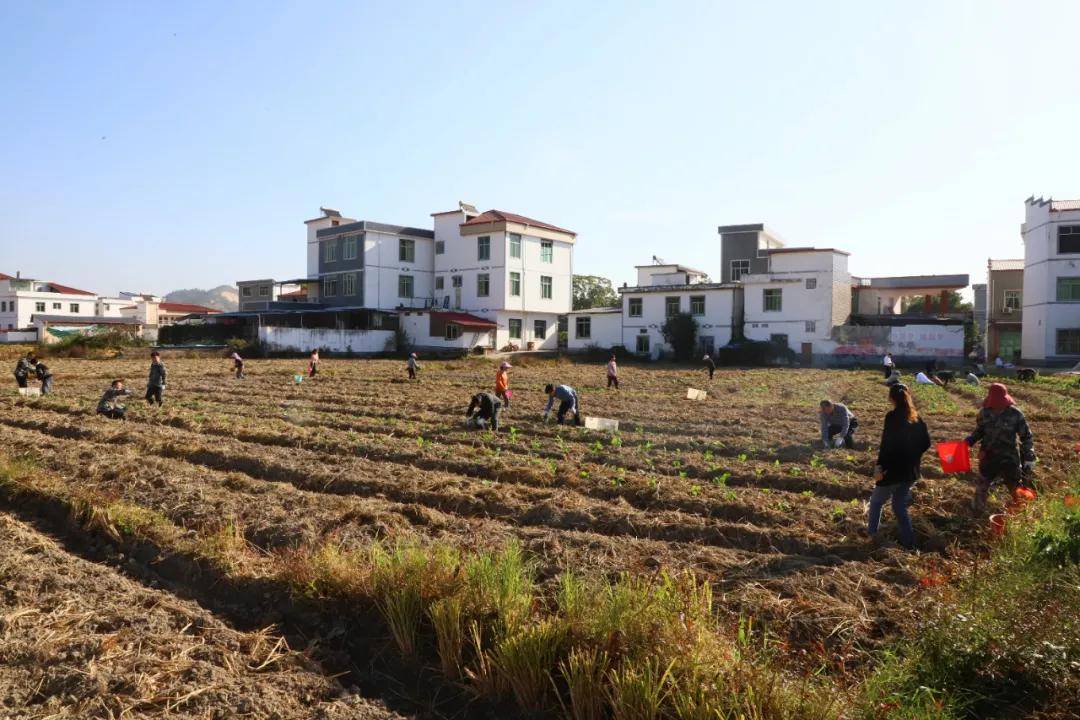 同吃同住同劳动严水石深入孔田镇高屋村蹲点调研