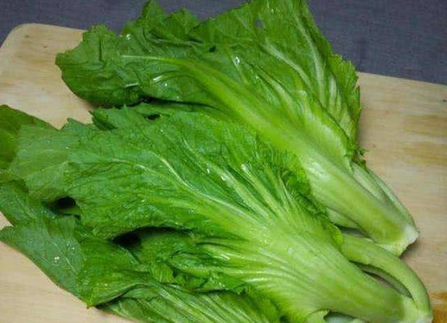 都不知道怎么去寻找这些蔬菜,只是,南方人对北方的蔬菜名字并不是很