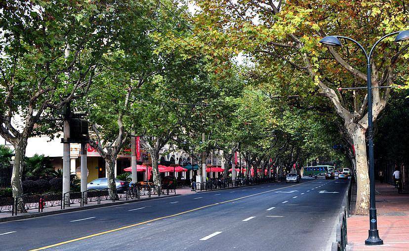 上海最小资的地方衡山路,极富欧陆风情的街道,林荫下徒步游