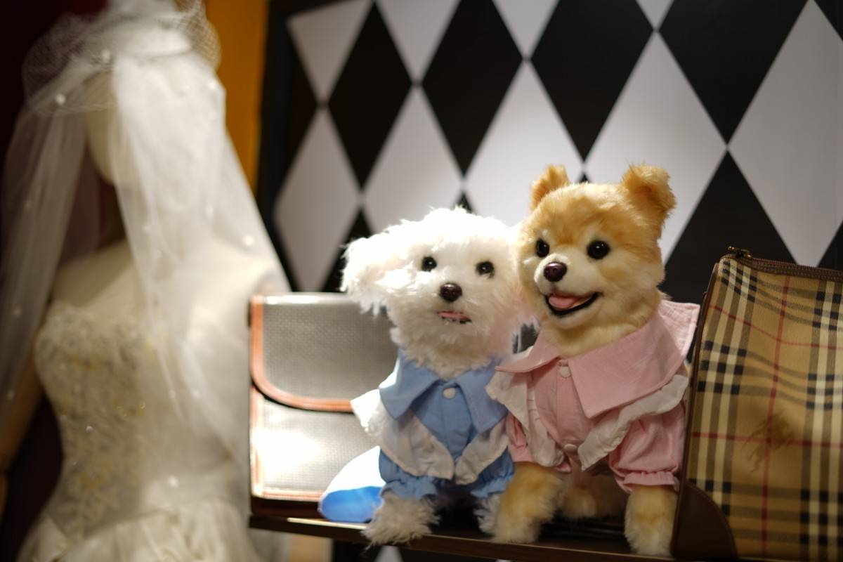 有些仿真玩偶,看上去可可爱爱,实际上