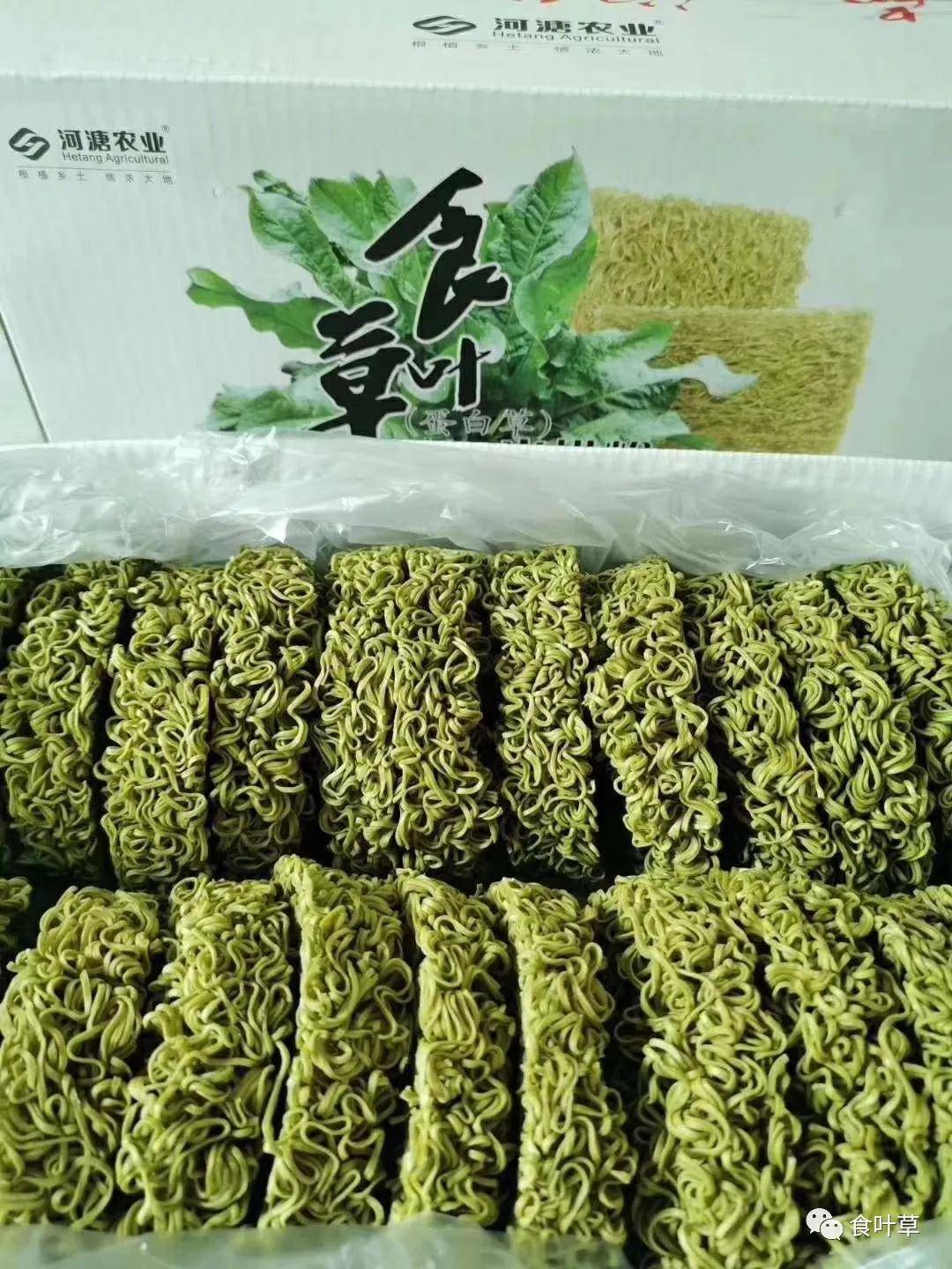 食叶草产业与"三农"发展