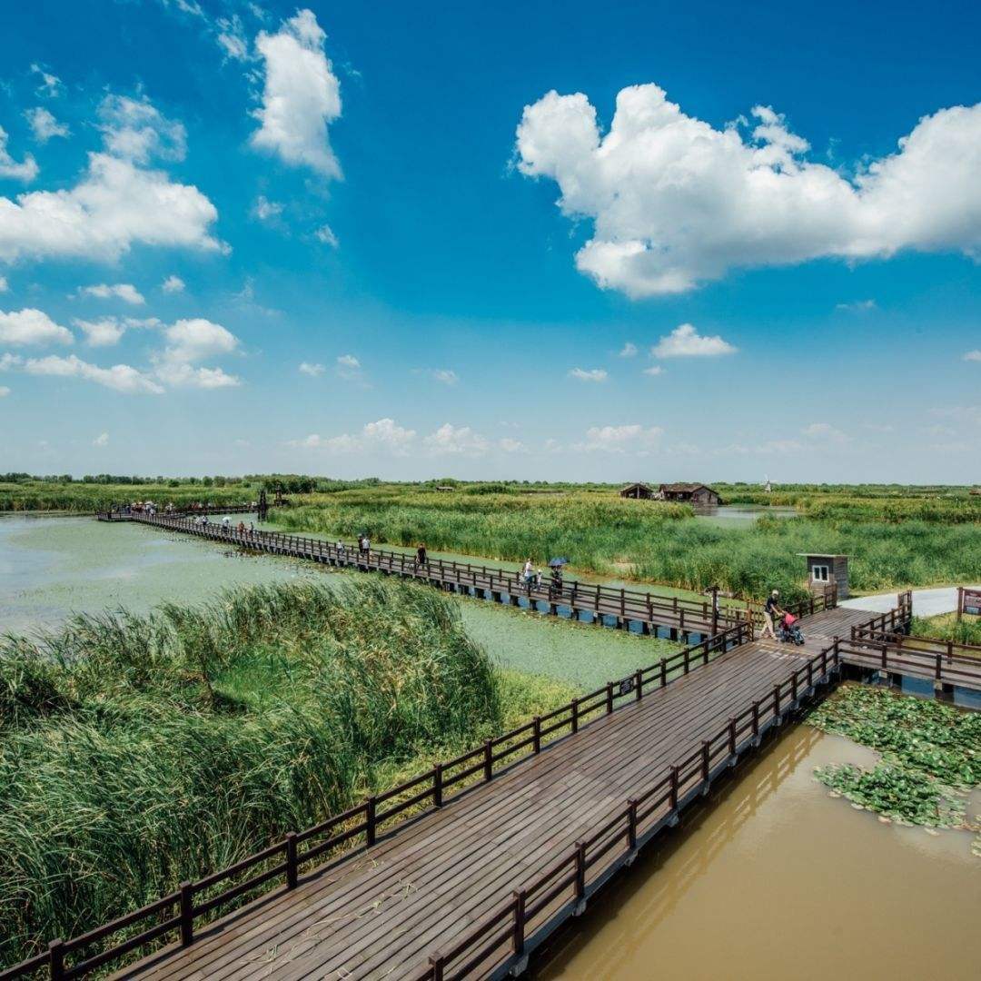 山清水秀杭州湾,江南水乡宜居好地方,滨海城市美丽风光秀丽景色_湿地
