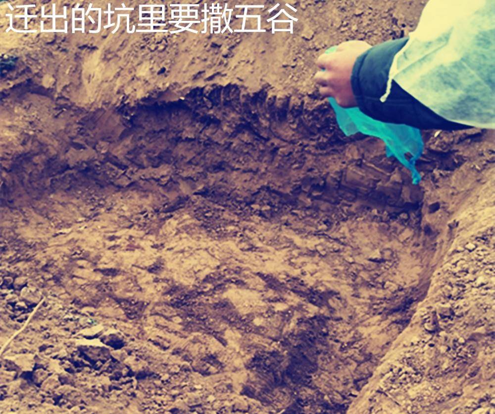 豫北农村迁坟流程是什么?为什么要迁坟?