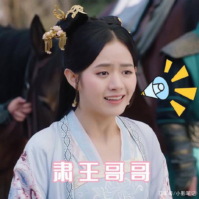 《如意芳霏》西河郡主大结局,和亲终遇良人玄翰王,定会幸福