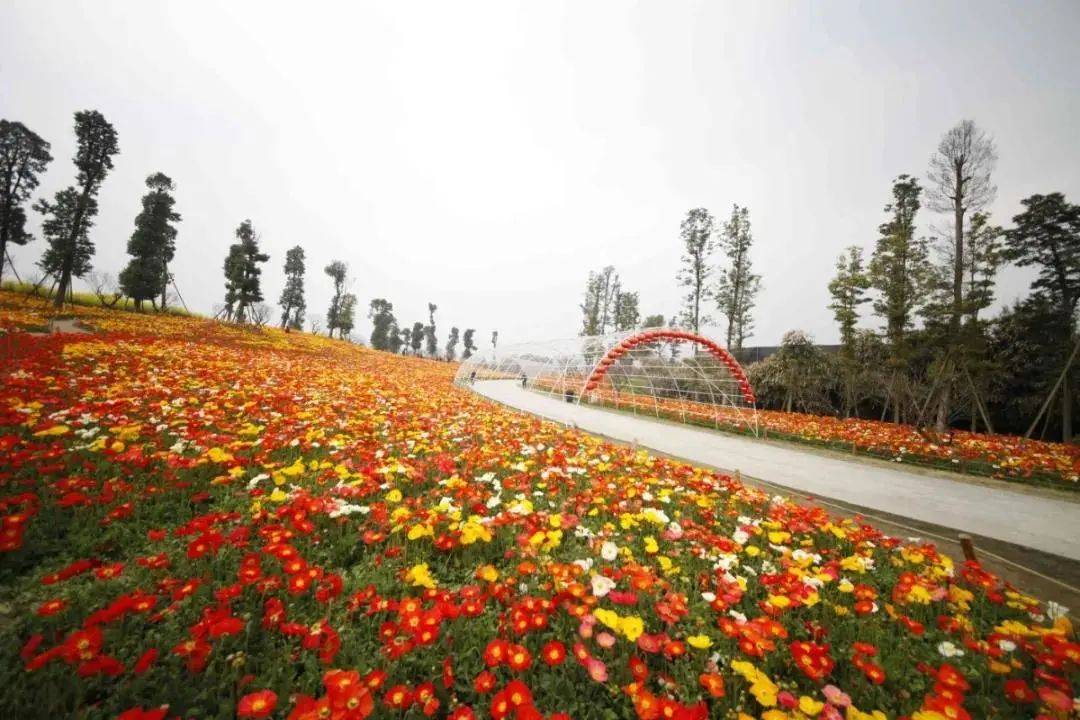 一周不见秀丽东方在做什么闭园打造实况来啦