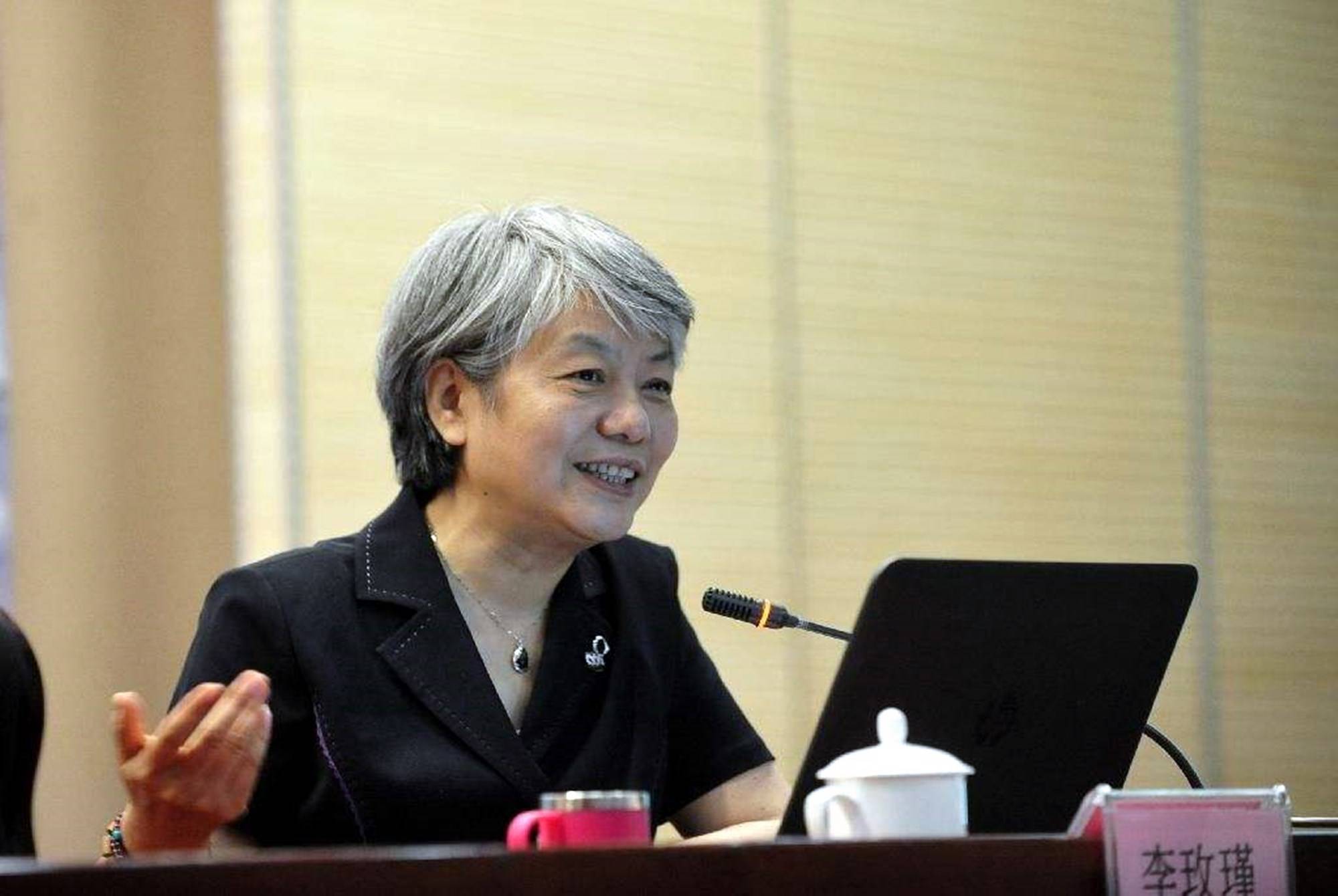 李玫瑾:家有男孩,一定要教会他"四种能力",最好不要晚于6岁_孩子