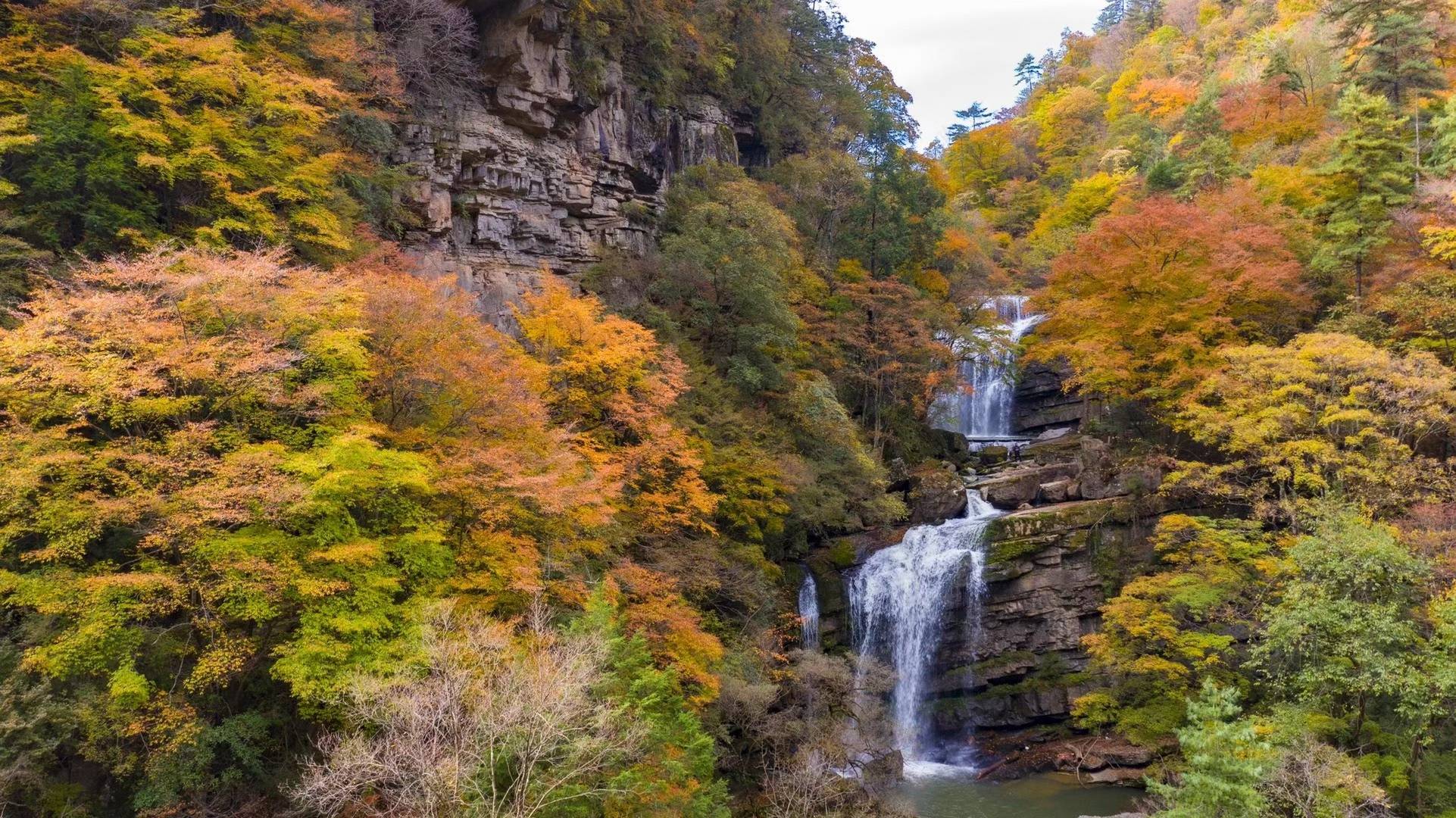 身未动心已远太惊艳了一组汉中黎坪秋景图刷爆朋友圈