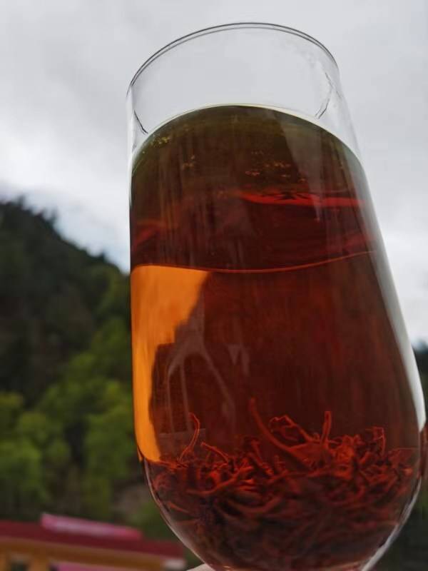 青海班玛藏雪茶:一杯高原茶,一杯致富茶