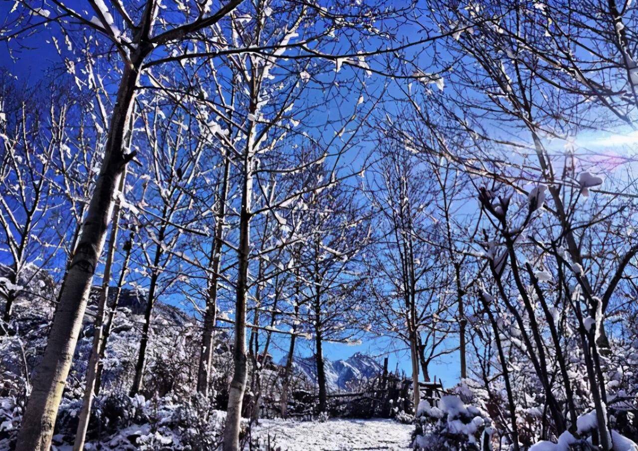 四川居然有这么多的绝美雪景:没有雪的冬天,是无趣的