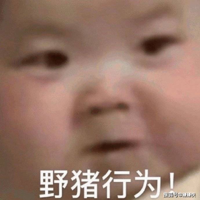搞笑表情包图片:偷听情话,你为什么不泡我,笑死我了-搜狐大视野-搜狐新闻