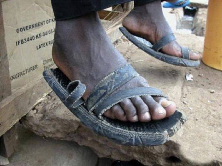 非洲拖鞋哥图片